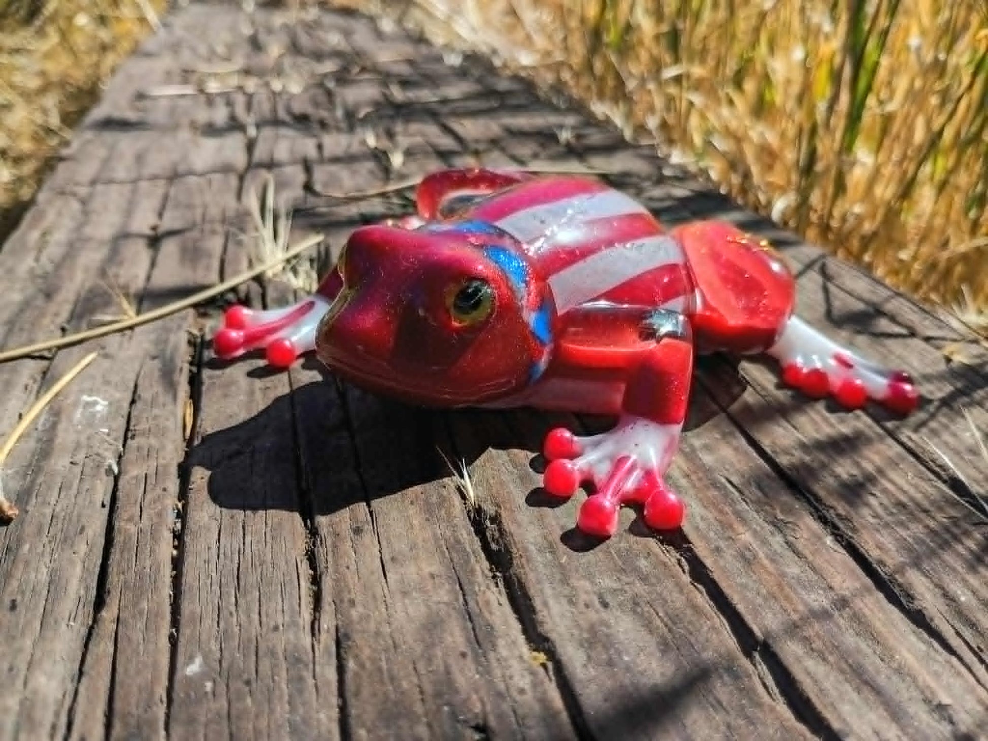 resin frog in wooded background