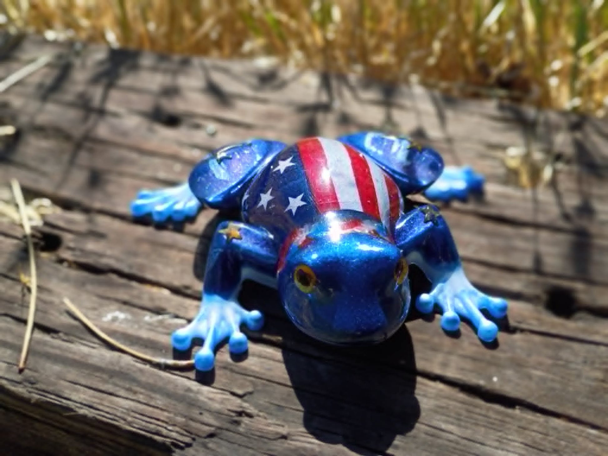 resin frog in wooded background