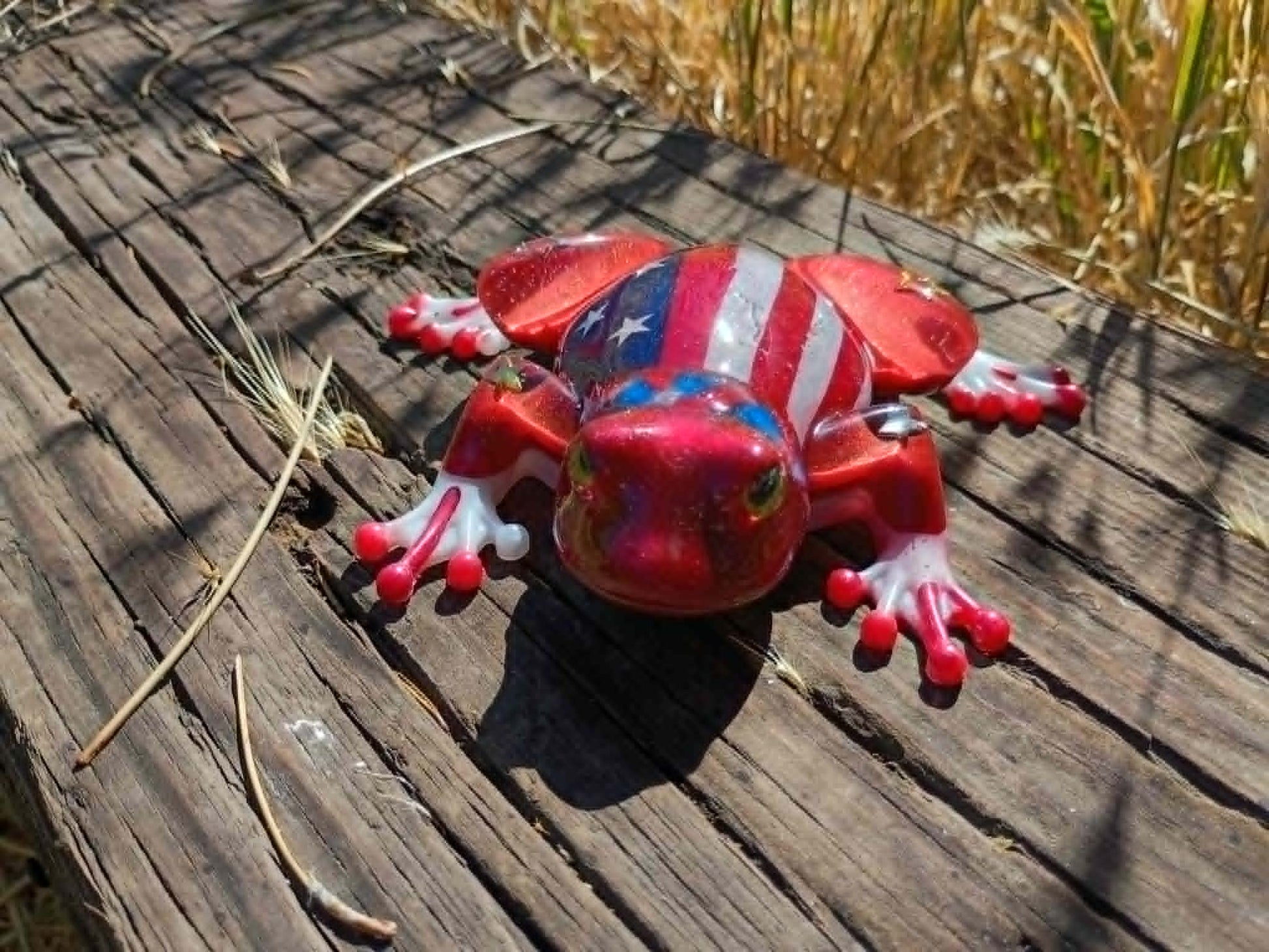 resin frog in wooded background